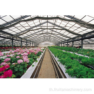 Aqua Hydroponics, โครงการโครงสร้างโพลี-บ้าน